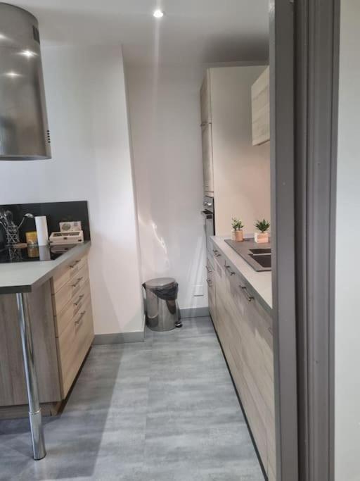 L'Ourse, Epinal,Tres Bel Appartement Quartier Port Esterno foto