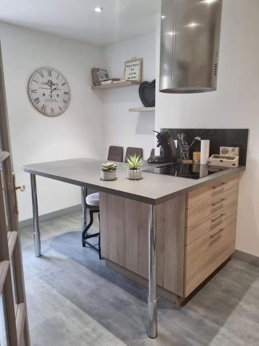 L'Ourse, Epinal,Tres Bel Appartement Quartier Port Esterno foto